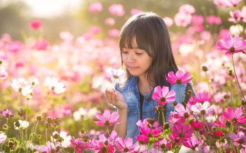 Logotypes: Allergy West